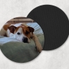 Pet Themed Coasters - Image 3
